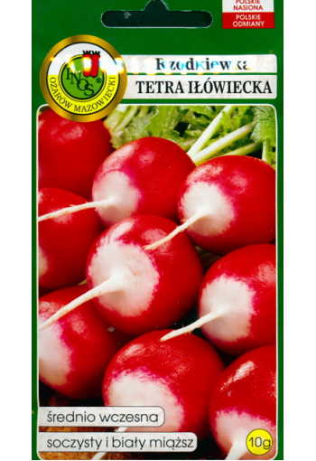 Retiisi "Tetra Ilowiecka"